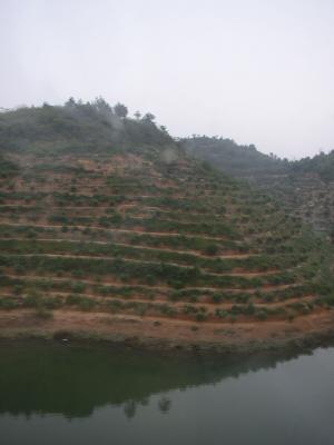 PA270176.jpg