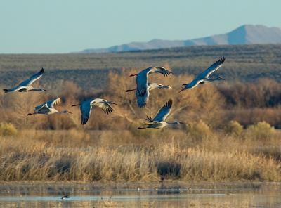 _DSC229316.jpg