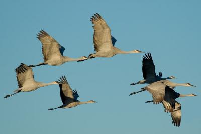 _DSC240120.jpg
