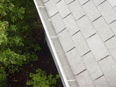 Gutters - West Side
