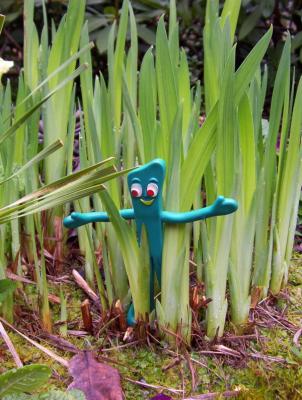 Gumby forages through the spring surge