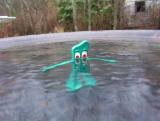 Gumby checks out the rain gauge