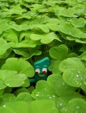 Gumby hunts for Leprechauns