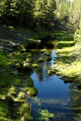 Indian Creek in eastern Oregon