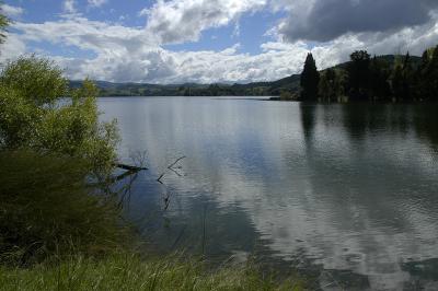 Lake Tutira