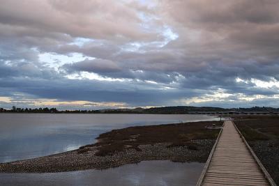 The Boardwalk - Ahuriri Lagoon