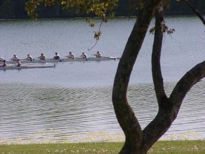 Phalen04.JPG