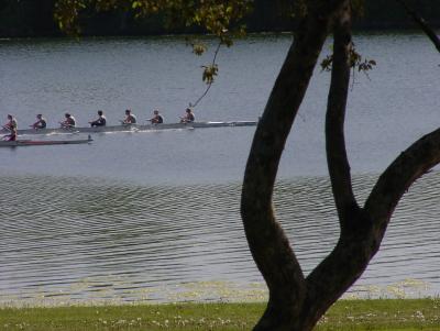 Phalen06.JPG