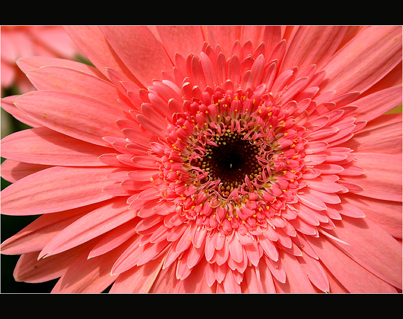 01.05.2005 ... Mother`s day ...