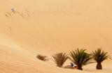 Descent from the dune, Namib Desert,  Namibia, 2002