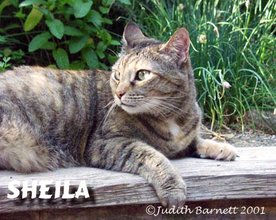 Sheila In The Garden