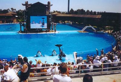 Sea World San Diego