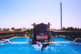 San Diego Sea World 2