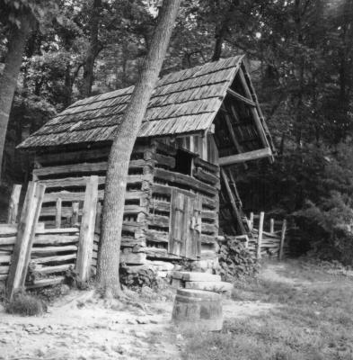 old home place shed.jpg