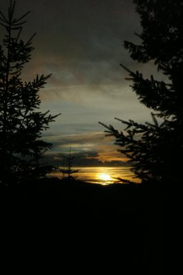 Mt. St. Helens