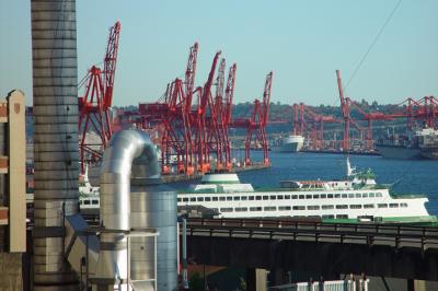 Flock of Cranes