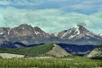 Alaskan Summer