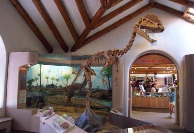 Museum of Northern Arizona