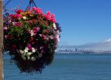View from Sausalito