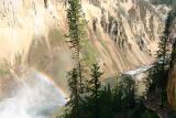 Stairway down to the Falls (Uncle Toms Trail)