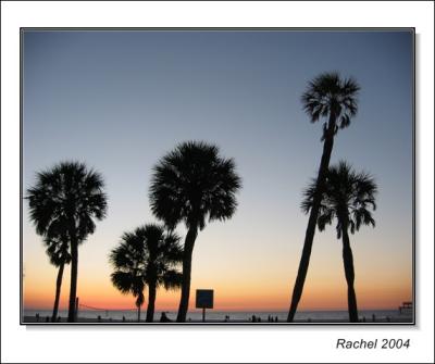 Clear Water beach, FL