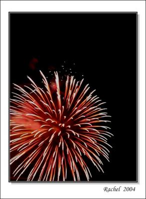 Firework