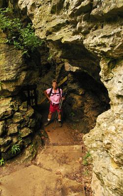 Shel at Caves
