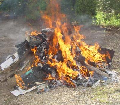 Burning of the Biology Books