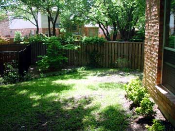 lawn