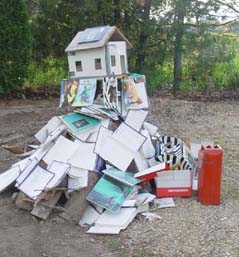 u10/ravenoaks/upload/2136894.BiologyBookBonfire