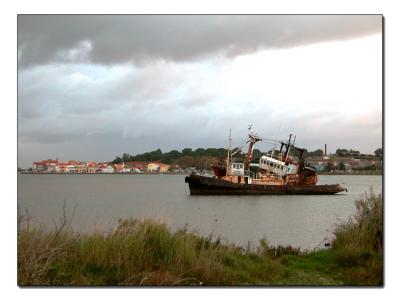 DSCN2846.jpg