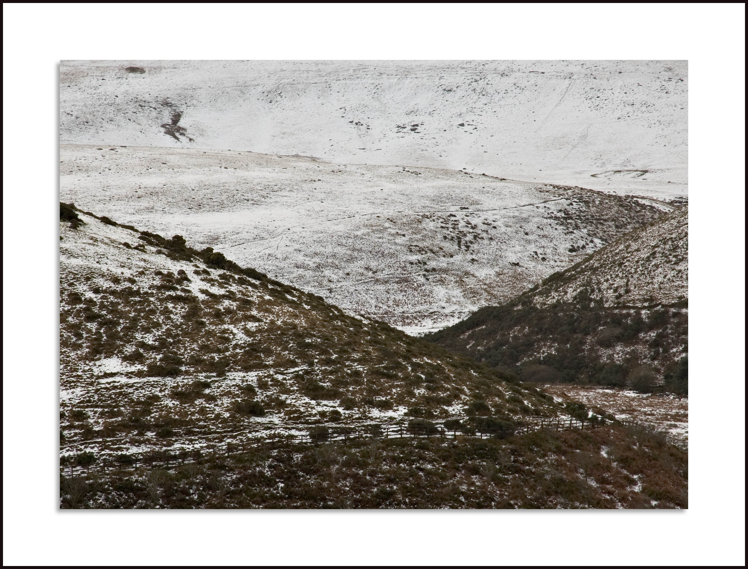 Monochromatic detail - Meldon Reservoir