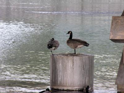 Spokane12.jpg