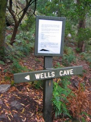 Wells Cave