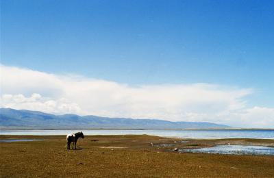 Qinghai LakeiCj