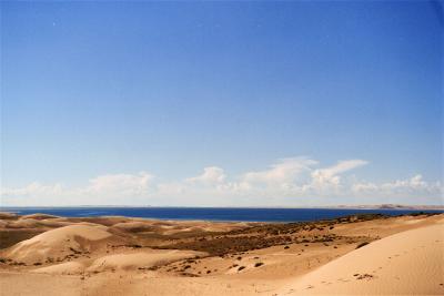 Qinghai Lake¡i«C®ü´ò¡j