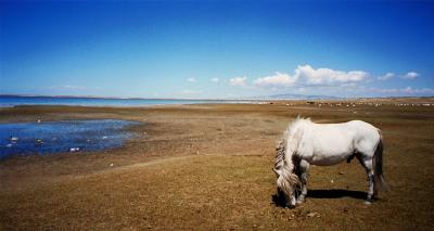 Qinghai LakeiCj
