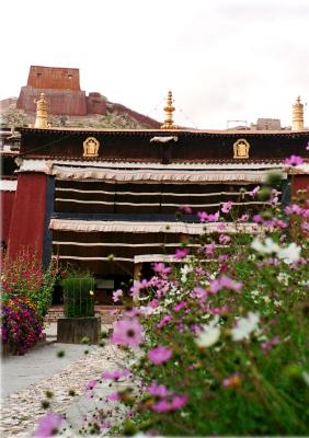Pelkor Chode Monasteryiթ~xj
