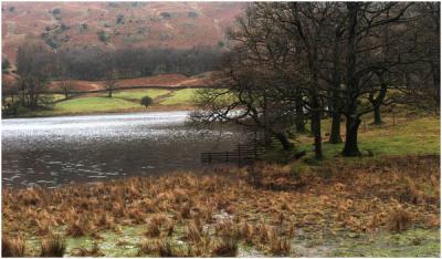 Evening Light, Rydal