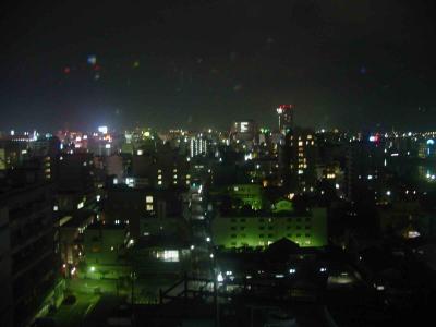 Kochi-night views (from Sansuien Hotel)