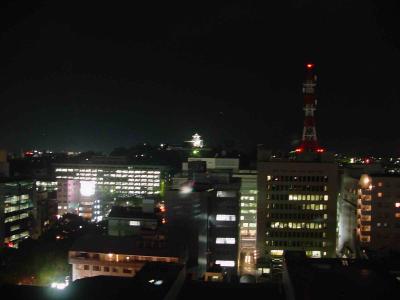Kochi-night views (from Sansuien Hotel)