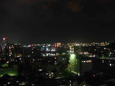Kochi-night views (from Sansuien Hotel)