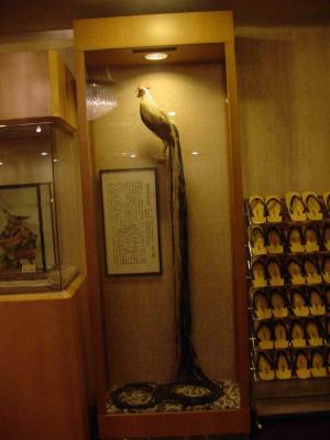 Sansuien Hotel - roaster with long tail feathers