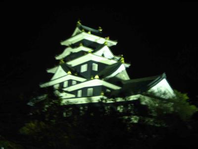 Okayama-jo at night