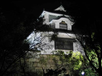 Okayama Castle at night and Okayama streets in morning