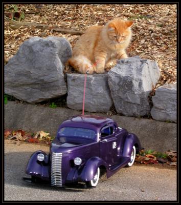 JPG SB Fat Cat  Car PC257747.jpg