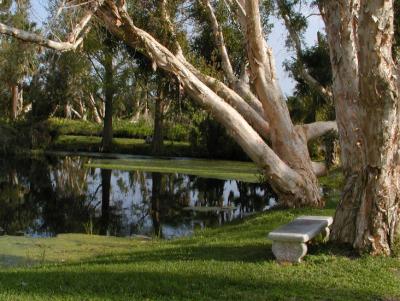 JPG CS Pond Bench P3242261.jpg