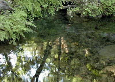 Maple Trail - Spring & Pool