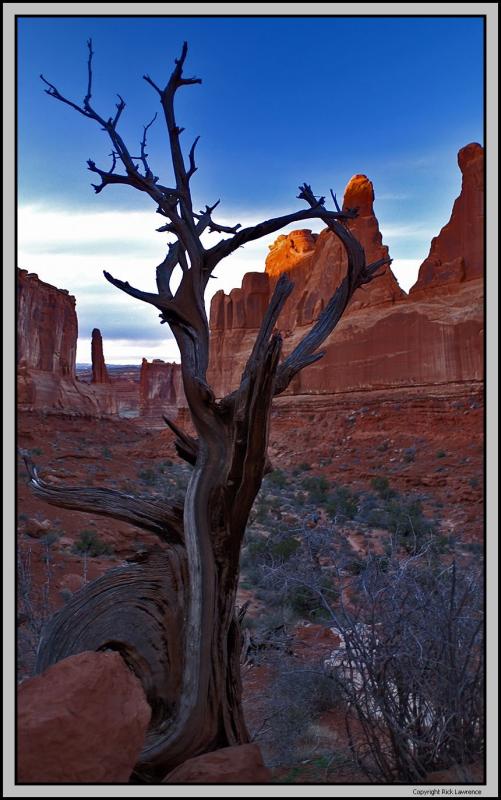 Park Avenue snag