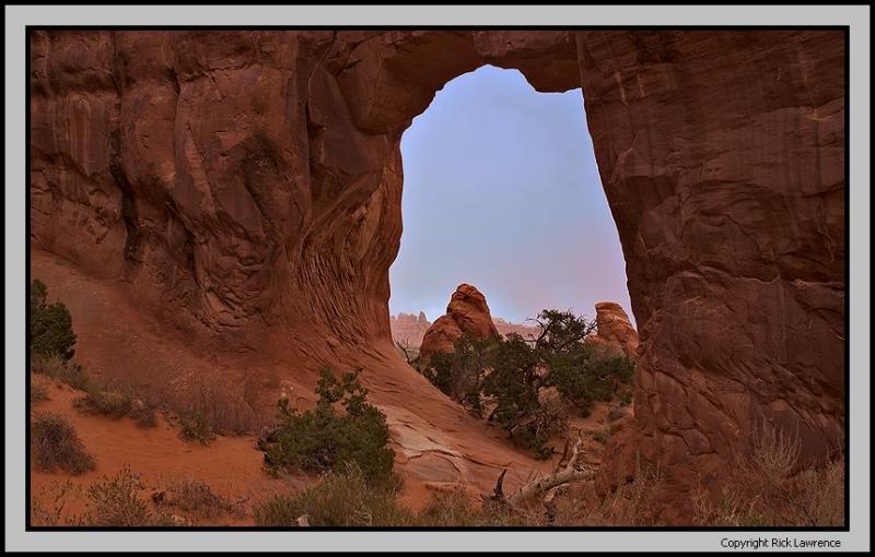 Pine Tree Arch